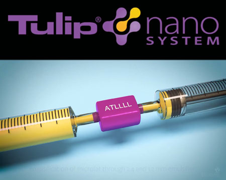 Tulip Lipofilling y Cannulas - 